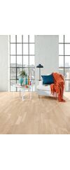 Shade Dąb Cream White 7870916 lakier matowy Tarkett